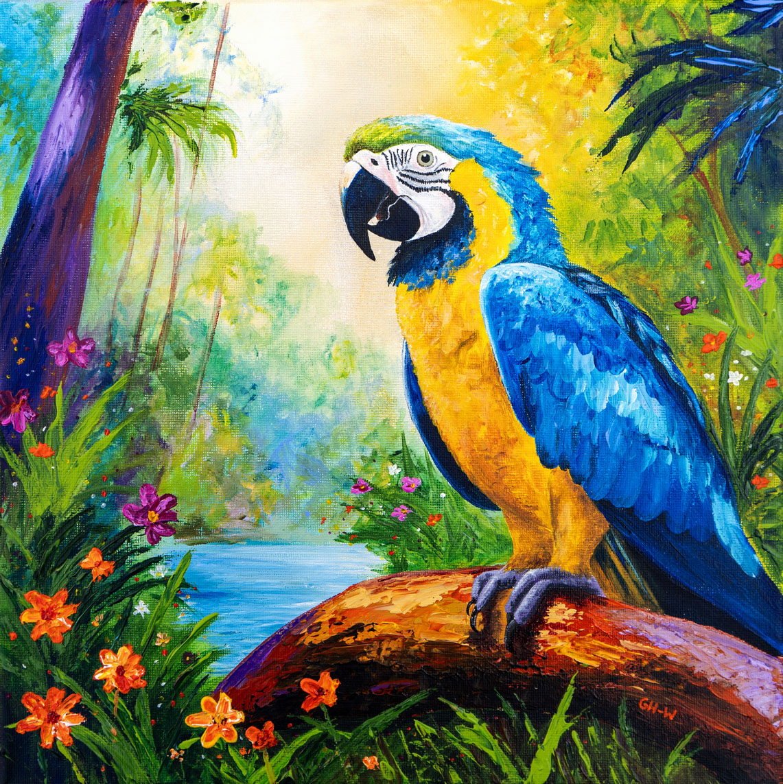 Blue & Gold Macaw