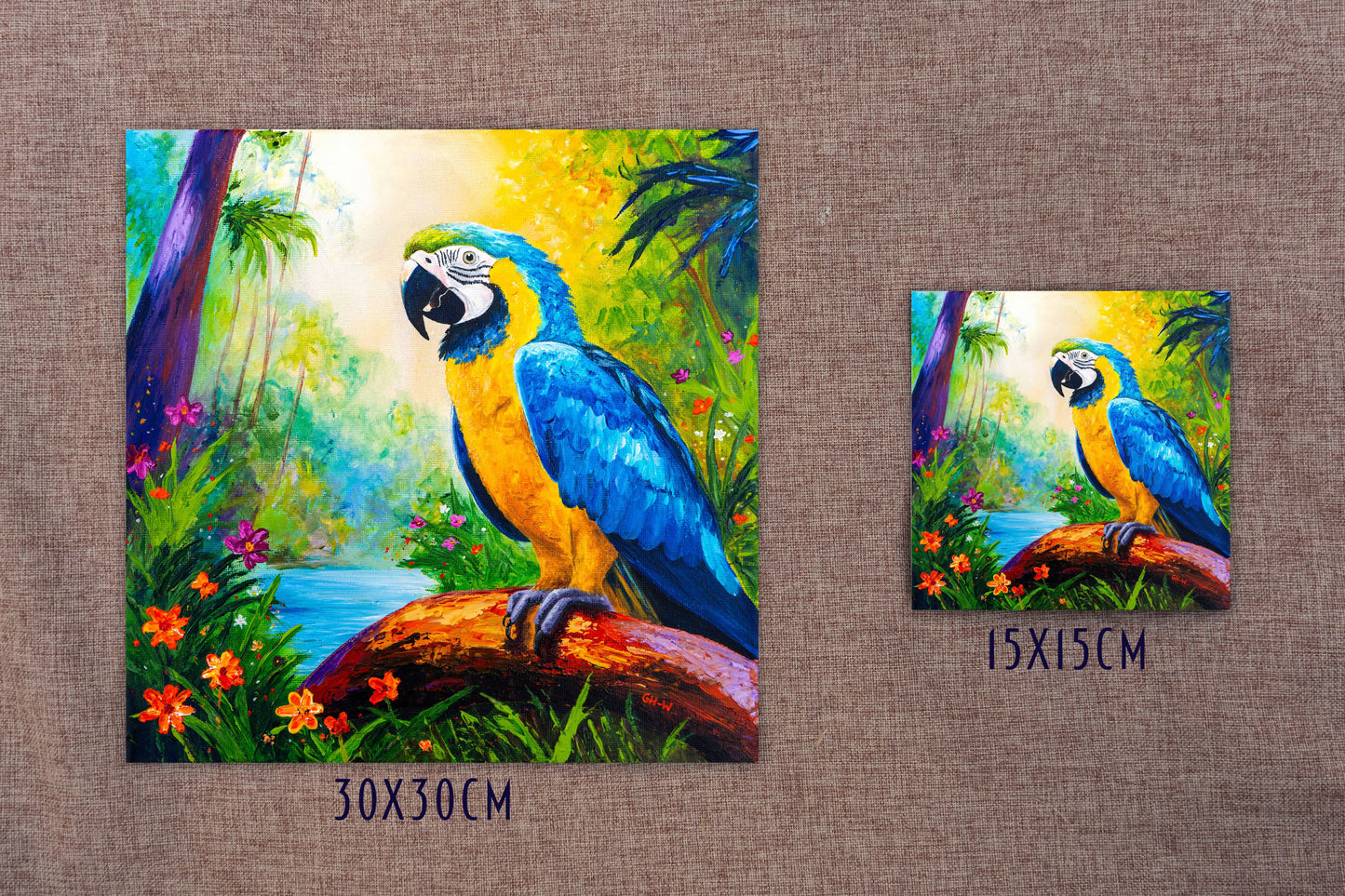 Blue & Gold Macaw