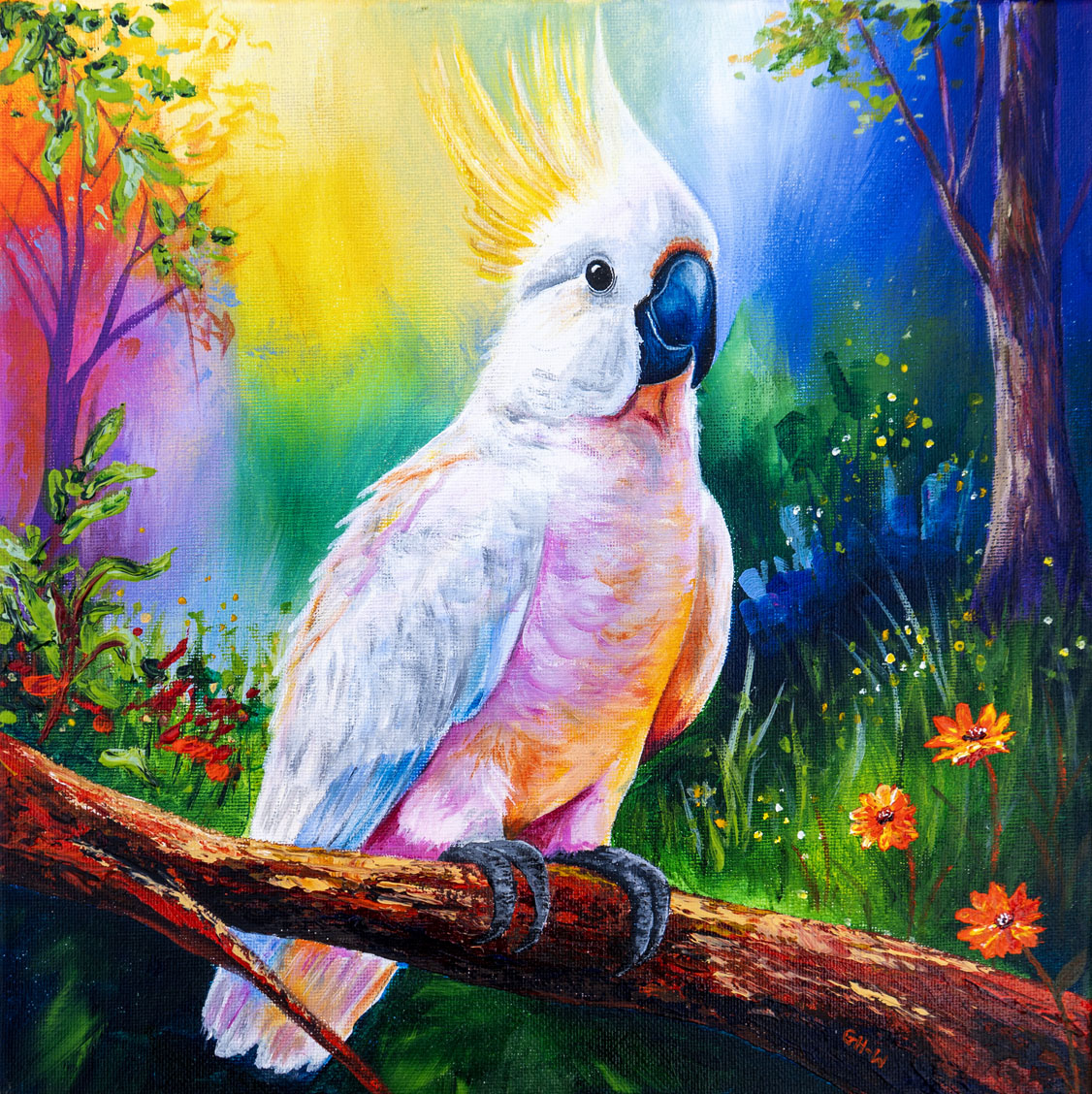 Cockatoo