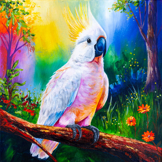 Cockatoo