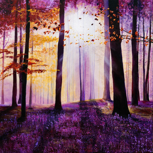 Sunrise in Bluebell Woods