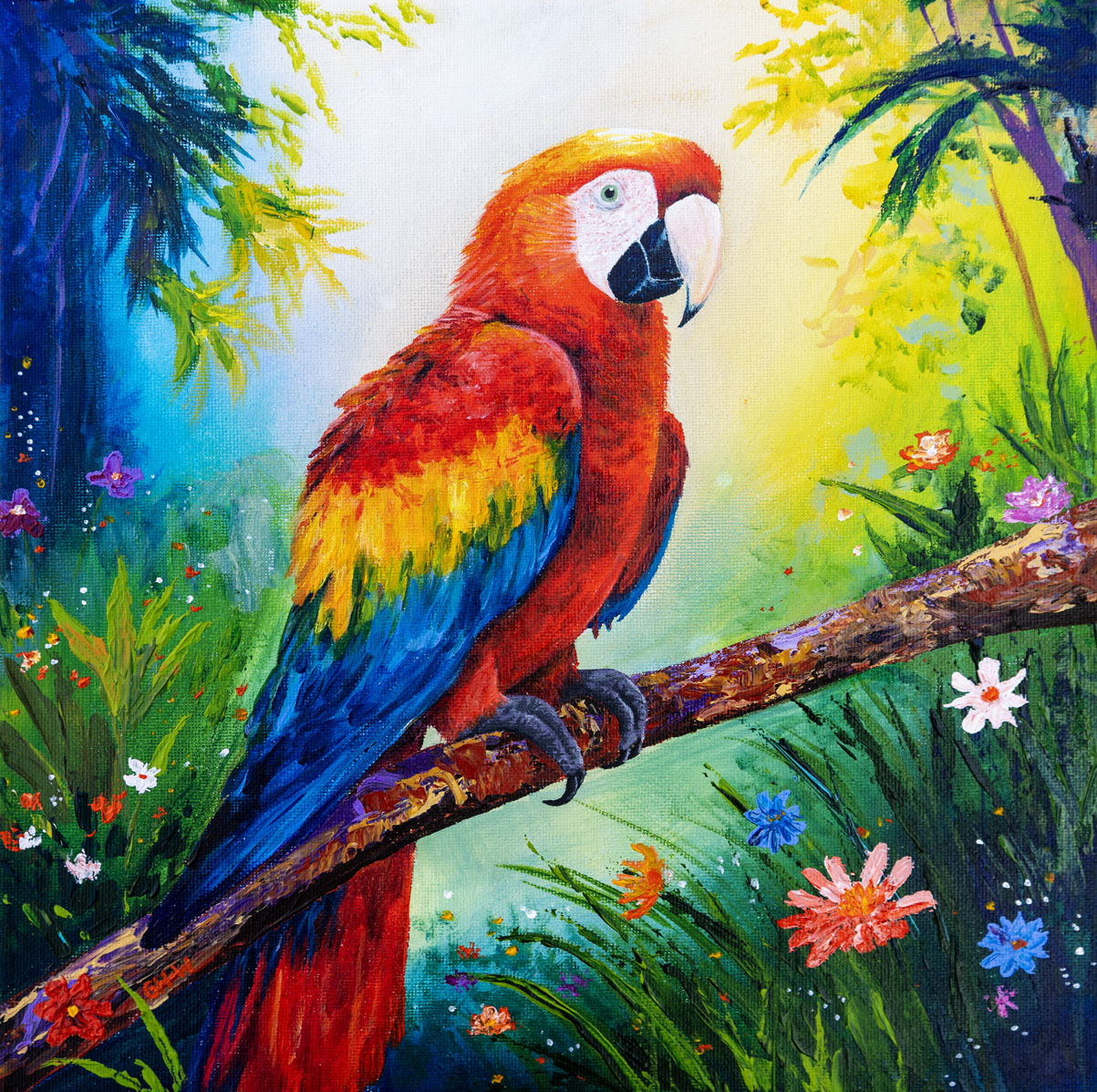 Scarlet Macaw