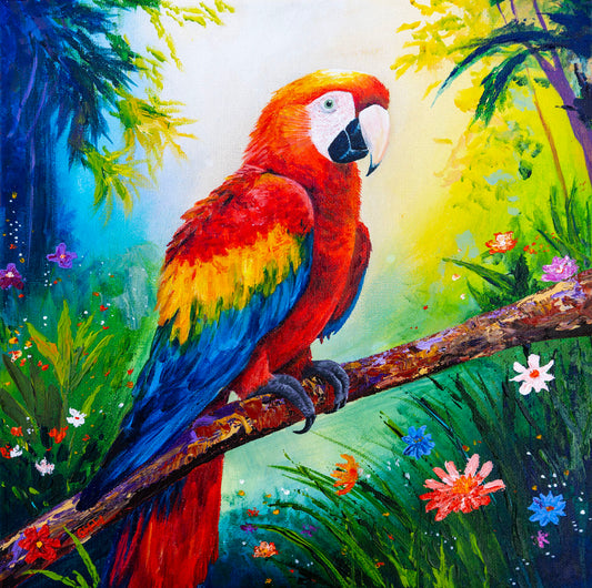 Scarlet Macaw