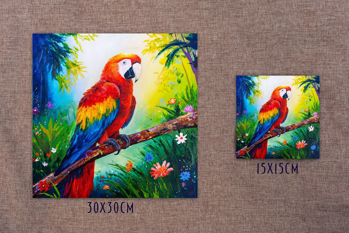 Scarlet Macaw