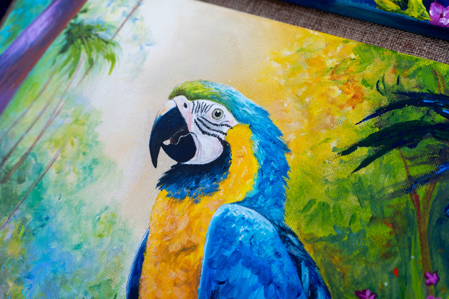 Blue & Gold Macaw