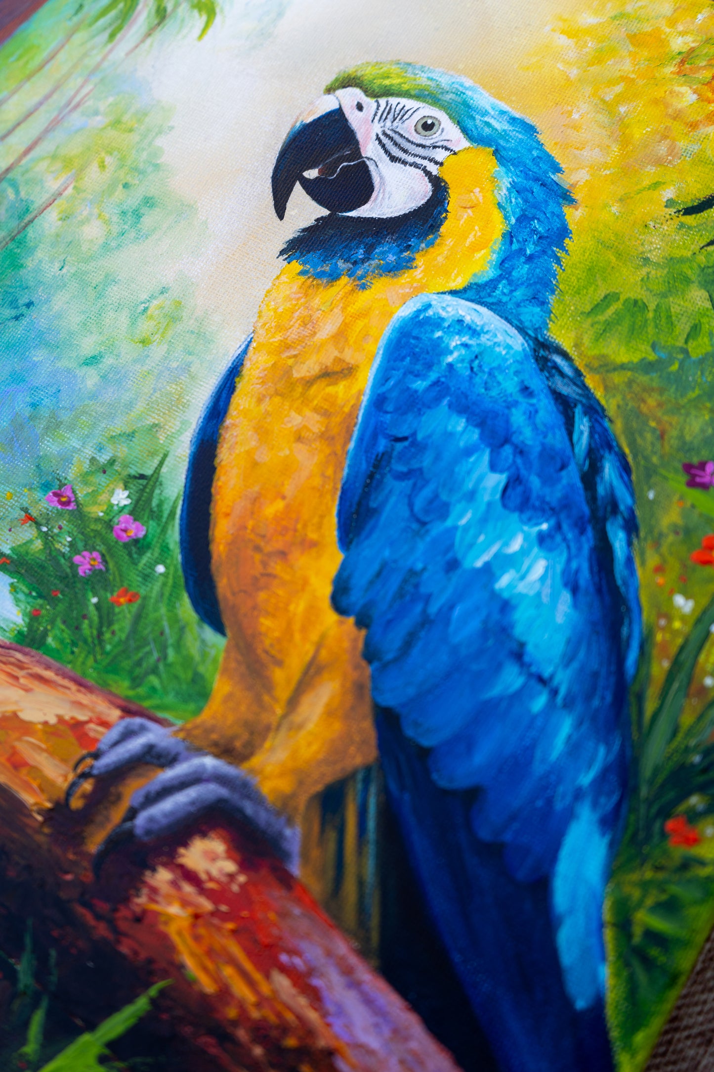Blue & Gold Macaw