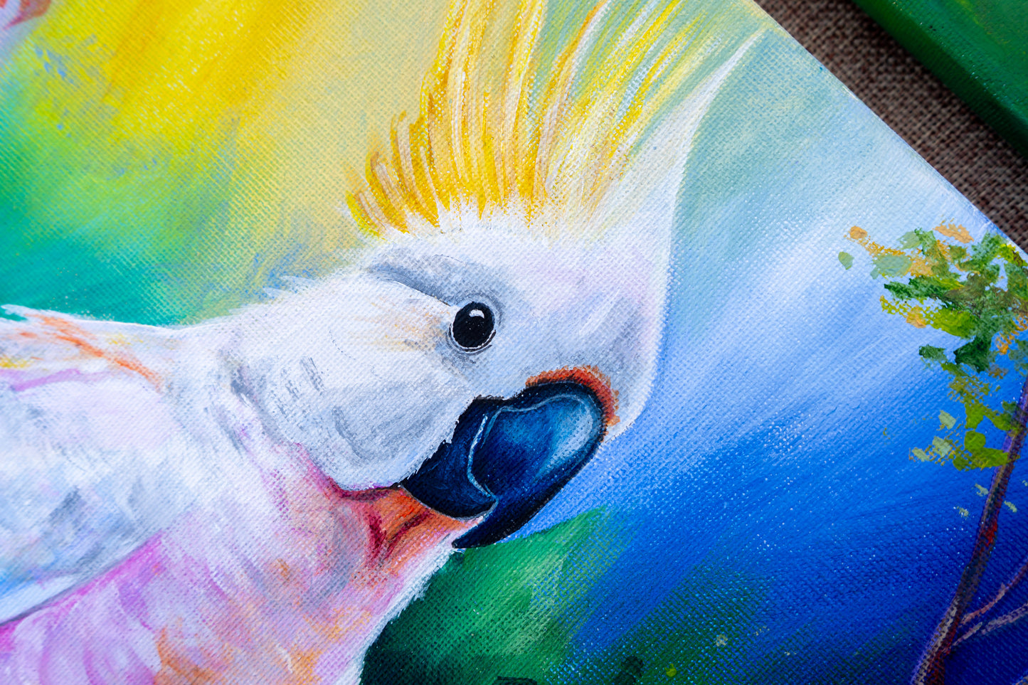 Cockatoo