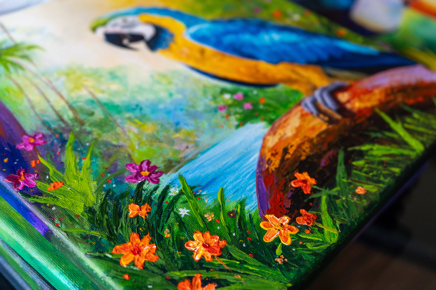 Blue & Gold Macaw