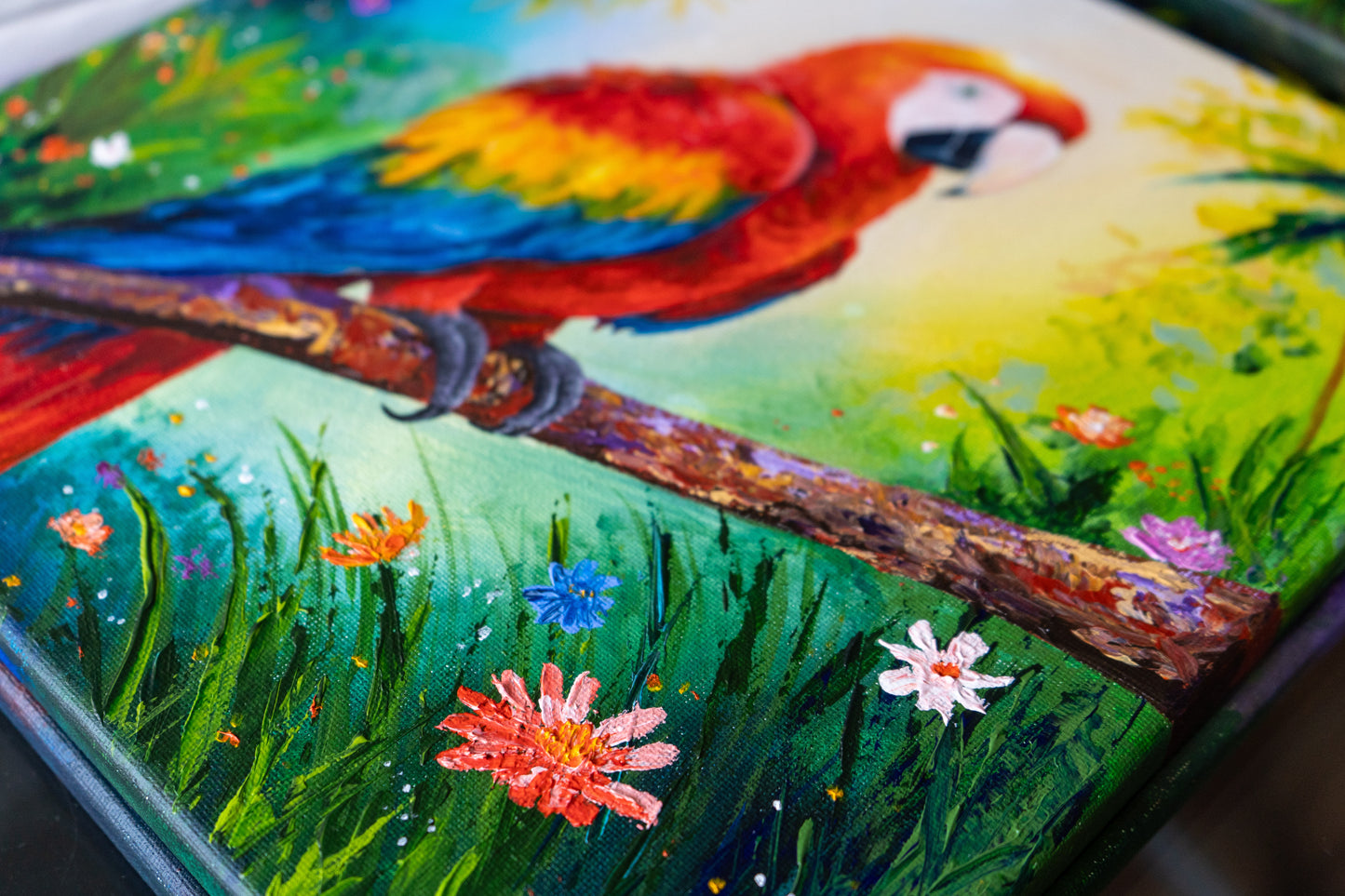 Scarlet Macaw