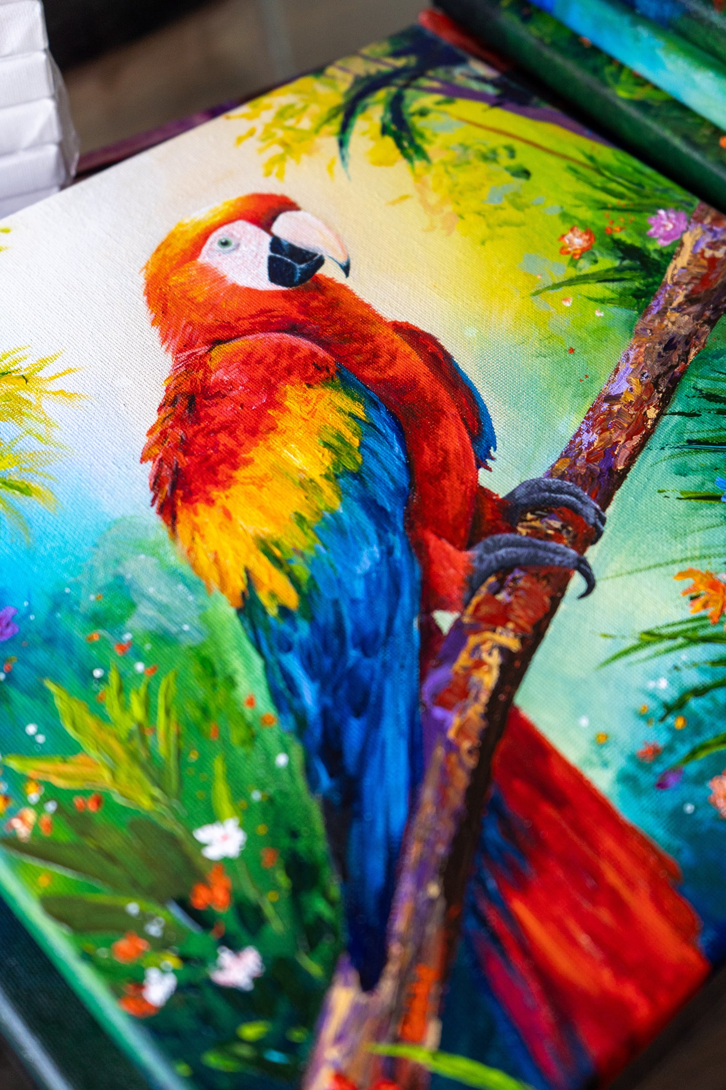 Scarlet Macaw