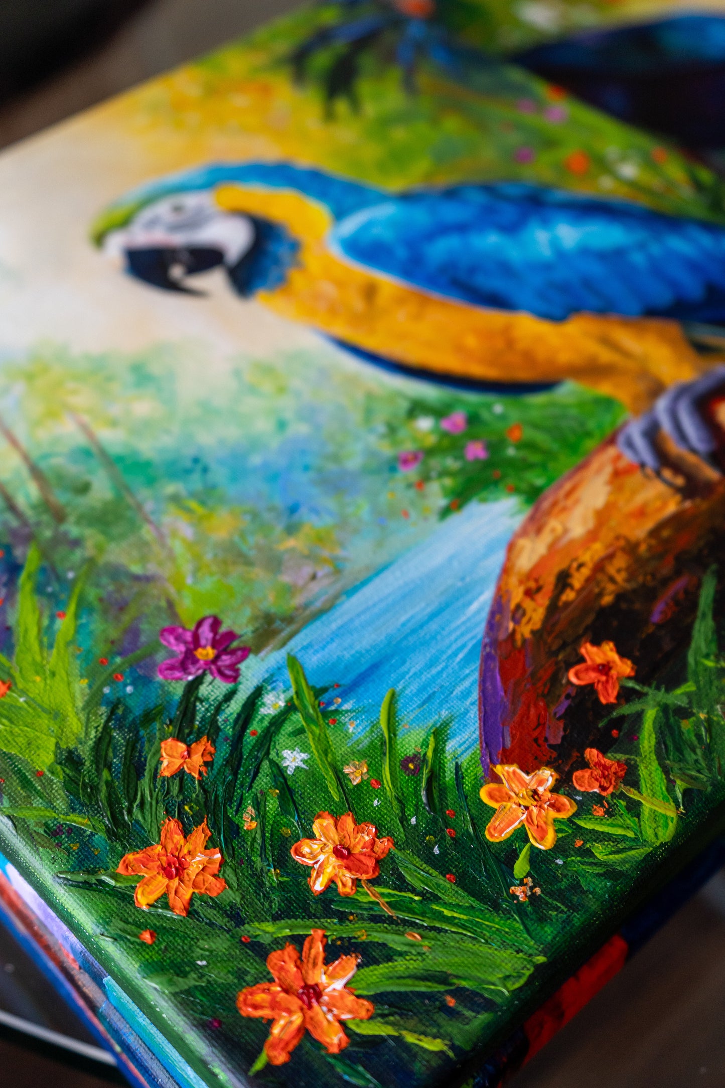 Blue & Gold Macaw